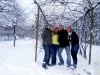 koning winter 3